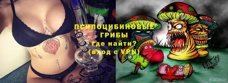 Галлюциногенные грибы MAGIC MUSHROOMS  Вятские Поляны 